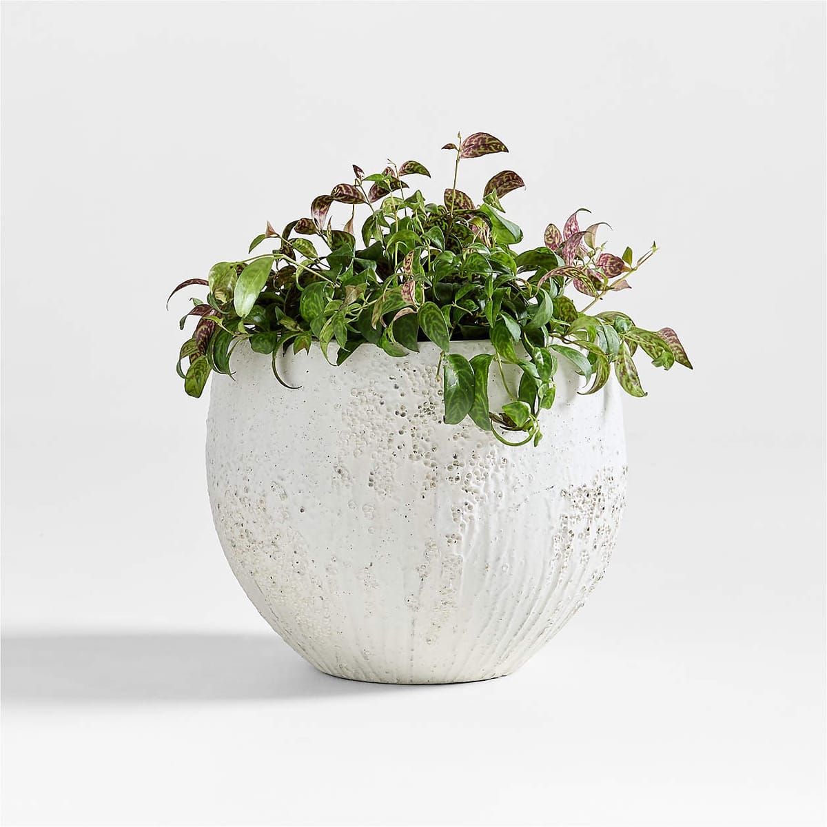 CRATE & BARREL | Messina Textured Indoor/Outdoor Planter 