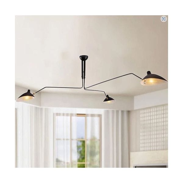 Serge Mouillie Chandelier