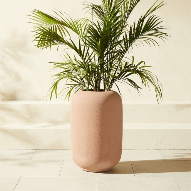 CB2 | Anique Round Cement Indoor/Outdoor Large Planter - Natural
