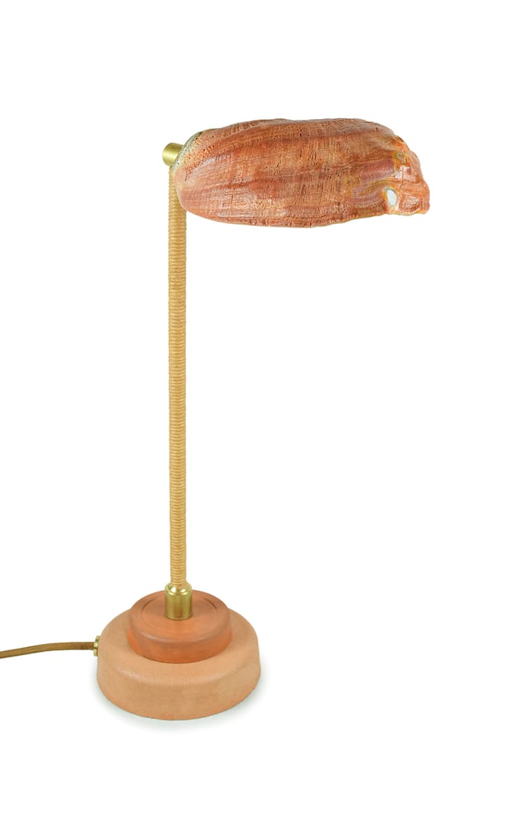 Abalone Lawyer's Lamp