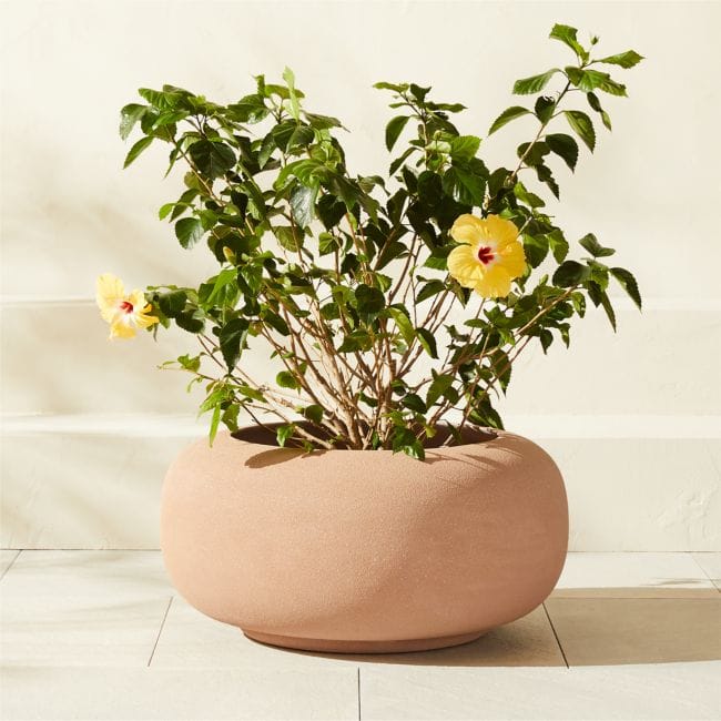 CB2 | Anique Round Cement Indoor/Outdoor Medium Planter 12"H - Natural